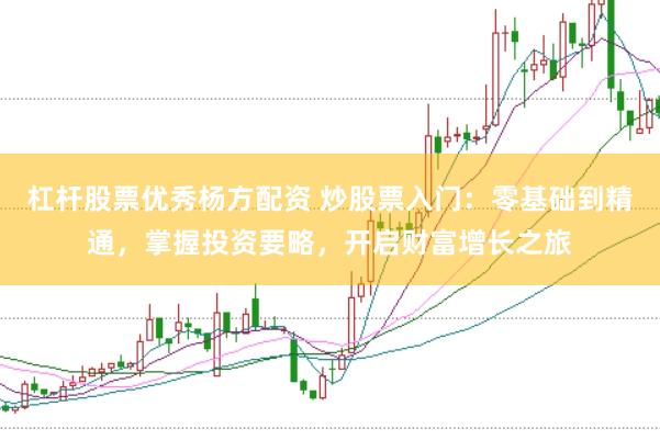 杠杆股票优秀杨方配资 炒股票入门：零基础到精通，掌握投资要略，开启财富增长之旅