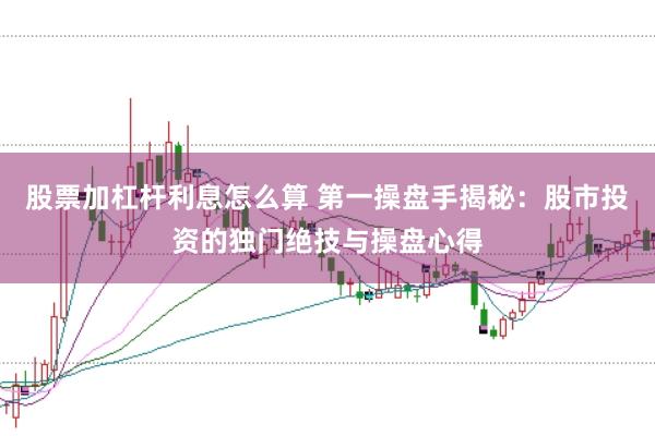 股票加杠杆利息怎么算 第一操盘手揭秘：股市投资的独门绝技与操盘心得