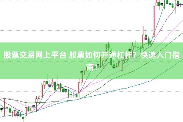 股票交易网上平台 股票如何开通杠杆？快速入门指南！