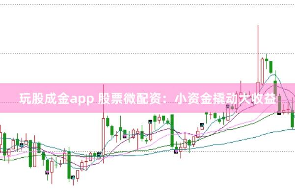 玩股成金app 股票微配资：小资金撬动大收益