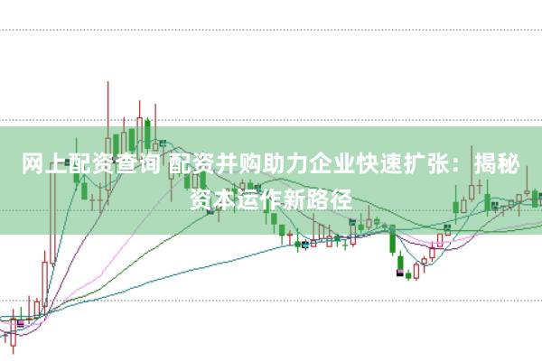 网上配资查询 配资并购助力企业快速扩张：揭秘资本运作新路径
