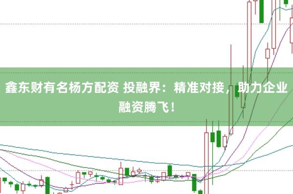 鑫东财有名杨方配资 投融界：精准对接，助力企业融资腾飞！