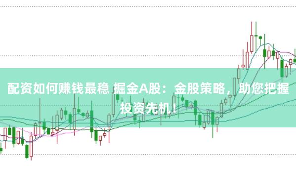 配资如何赚钱最稳 掘金A股：金股策略，助您把握投资先机！