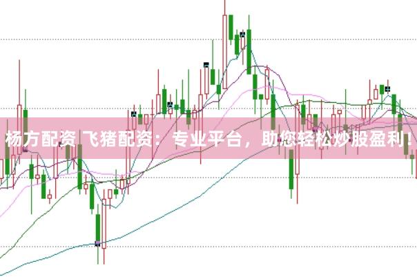 杨方配资 飞猪配资：专业平台，助您轻松炒股盈利！