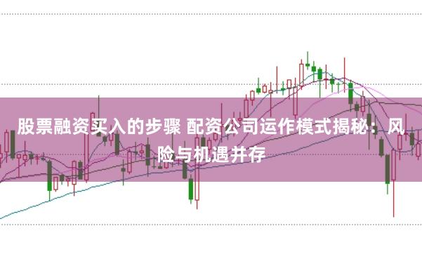 股票融资买入的步骤 配资公司运作模式揭秘:风险与机遇并存