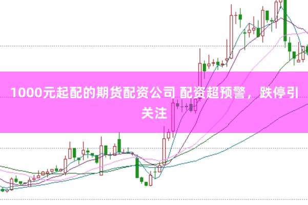 1000元起配的期货配资公司 配资超预警，跌停引关注